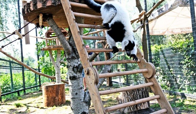 Фото: facebook.com/zoo.kyiv.ua