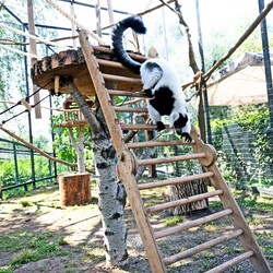 Фото: facebook.com/zoo.kyiv.ua