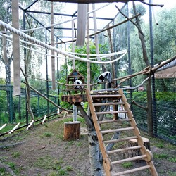 Фото: facebook.com/zoo.kyiv.ua