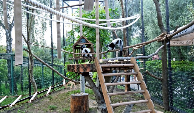 Фото: facebook.com/zoo.kyiv.ua
