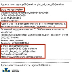 Надані СБУ документи. Фото: t.me/SBUkr