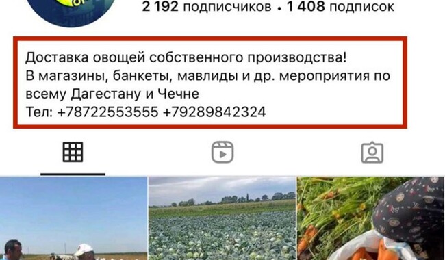 Надані СБУ документи. Фото: t.me/SBUkr