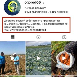 Надані СБУ документи. Фото: t.me/SBUkr