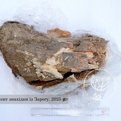 Фото: facebook.com/poltavaCODPA