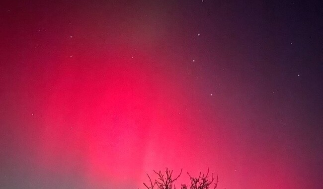 Полярне сяйво над Україною. Фото: t.me/insiderUKR