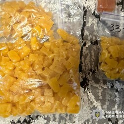 Фото: npu.gov.ua